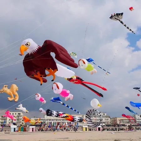 公寓 Evasion En Cote D'opale Classe 2 Etoiles Possibilite De Parking *