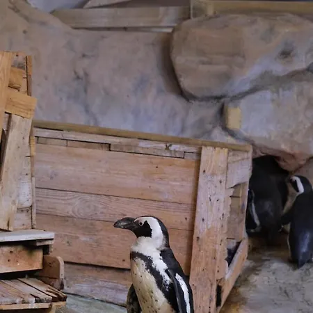 Evasion En Cote D'opale Classe 2 Etoiles Possibilite De Parking 公寓